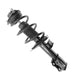 Suspension Strut and Coil Spring Assembly Unity 11167