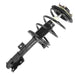 Suspension Strut and Coil Spring Assembly Unity 11184