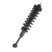 Suspension Strut and Coil Spring Assembly Unity 11565