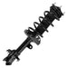 Suspension Strut and Coil Spring Assembly Unity 11605