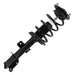 Suspension Strut and Coil Spring Assembly Unity 11656