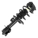 Suspension Strut and Coil Spring Assembly Unity 11786