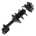 Suspension Strut and Coil Spring Assembly Unity 11822