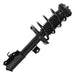 Suspension Strut and Coil Spring Assembly Unity 11881