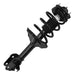 Suspension Strut and Coil Spring Assembly Unity 11901