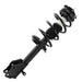 Suspension Strut and Coil Spring Assembly Unity 11983