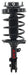 Suspension Strut and Coil Spring Assembly FCS Automotive 1331799R