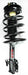 Suspension Strut and Coil Spring Assembly FCS Automotive 1332346L