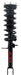 Suspension Strut and Coil Spring Assembly FCS Automotive 1335585L