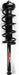 Suspension Strut and Coil Spring Assembly FCS Automotive 1336312