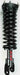 Suspension Strut and Coil Spring Assembly FCS Automotive 1336320R