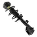 Suspension Strut and Coil Spring Assembly Unity 13683