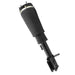 Air Suspension Strut Unity 17-172001