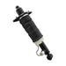 Air Suspension Strut Unity 18-529901