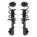 Suspension Strut Assembly Kit Unity 2-11737-11738-001