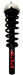 Suspension Strut and Coil Spring Assembly FCS Automotive 2335906