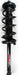 Suspension Strut and Coil Spring Assembly FCS Automotive 2336312