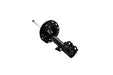 Suspension Strut FCS Automotive 333819L