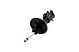 Suspension Strut FCS Automotive 333841L