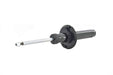 Suspension Strut FCS Automotive 335832