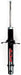 Suspension Strut FCS Automotive 336305