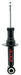 Suspension Strut FCS Automotive 345454