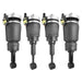 Air Suspension Strut Set Unity 4-18-160000