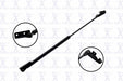 Liftgate Lift Support FCS Automotive 84303R