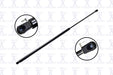 Liftgate Lift Support FCS Automotive 84904