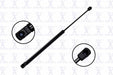 Liftgate Lift Support FCS Automotive 86638