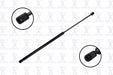 Liftgate Lift Support FCS Automotive 86871