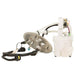 Fuel Pump Module Assembly Delphi FG1209