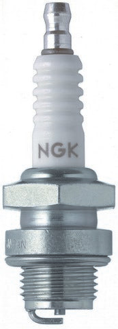 Spark Plug NGK 3010