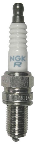 Spark Plug NGK 3641